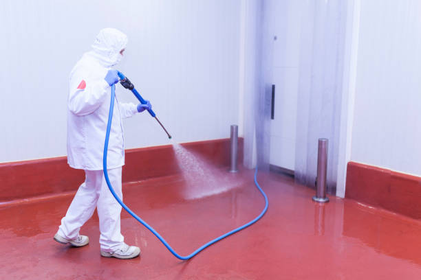Best Building Exterior Washing  in Hillburn, NY